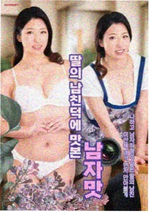 山茶花开时